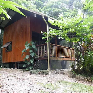 Epiphyte Bed & Breakfast